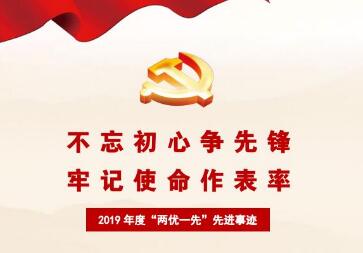 七一表彰丨2019年度“兩優一先”先進事跡集錦